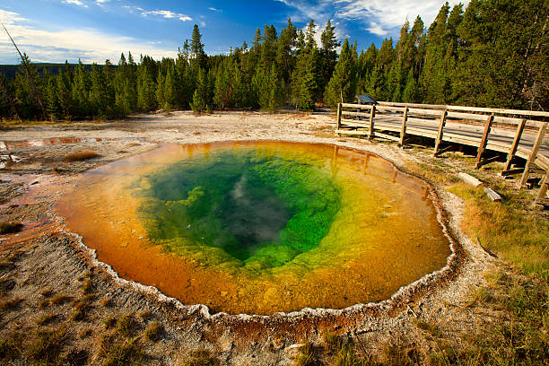 istock Morning Glory Pool - Yellowstone National Park 158589444