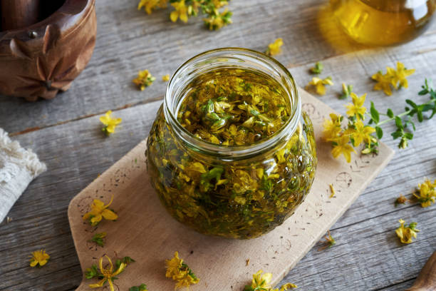 istock Macerating fresh St. John's wort blossoms in oil 1585895565