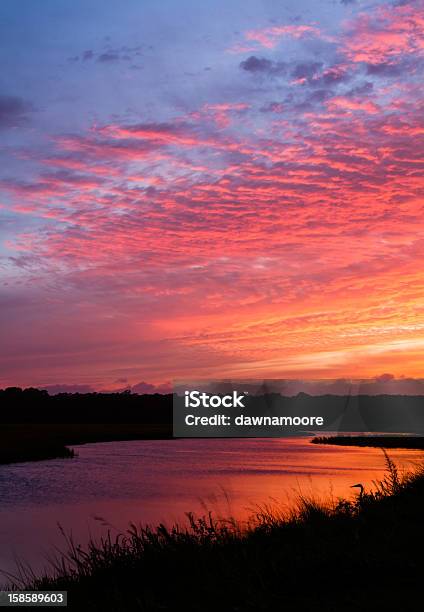 Tidal Creek Sunset Stock Photo - Download Image Now - Altocumulus, Animal Wildlife, Animals In The Wild