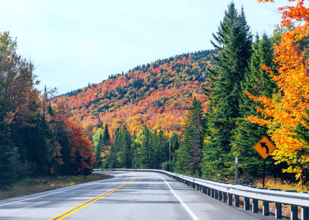 istock Autumn road in Maine 1585898241