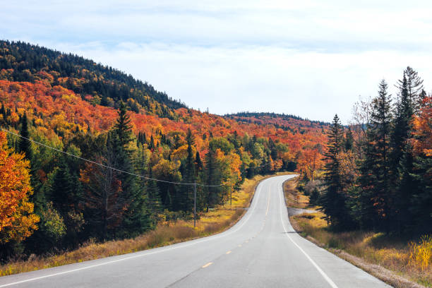 istock Autumn road in Maine 1585898245