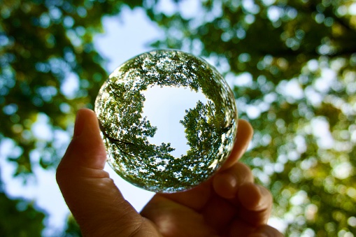 Crystal ball against trees