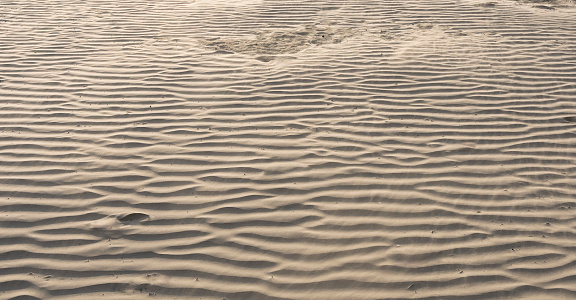 Beach sand. Beach floor texture.
