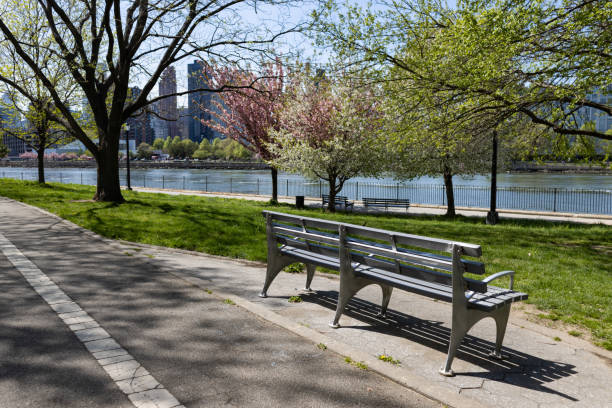 istock Empty Bench along a Path at Rainey Park during Spring in Astoria Queens New York 1585951305