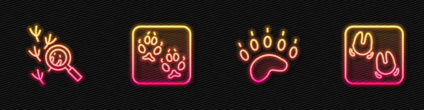 istock Set line Bear paw footprint, Bird, Fox and Wild boar. Glowing neon icon. Vector 1585969462