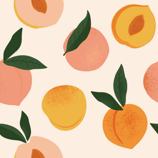 Peach or apricot seamless pattern. Hand drawn fruit and sliced pieces. Summer tropical endless background. Vector fruit design for label, fabric, packaging. Seamless surface design.