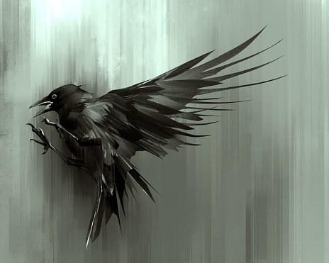 art raven bird in flight from the side