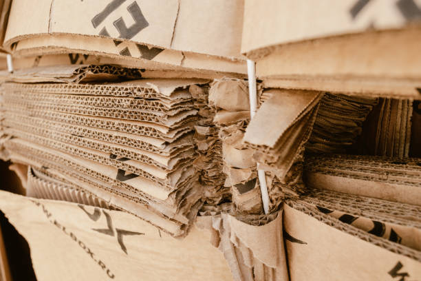 istock Paper waste in a recycling factory 1586078270