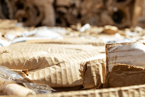 istock Paper waste in a recycling factory 1586169889