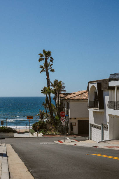 istock palm trees on the Manhattan beach in Los Angeles 1586177770
