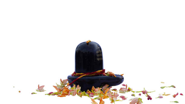 Flowers and lord shiva lingam on white background. Religious and sign concept. Lord Shiva Lingam decorated with flowers on white background. maha shivaratri Abstract shiva lingam, Hindu Religion God Siva Linga lingam yoni stock pictures, royalty-free photos & images