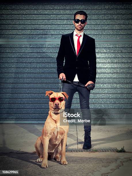 Stehend Stockfoto und mehr Bilder von Hund - Hund, Anzug, Abwarten