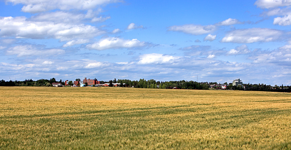 Panorama of small Alberta town of Trochu near Three HIlls in Kneehill County.  Summertime in the month of July. Hospital on left.