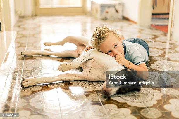 Rapaz Jovem Deitada No Chão Com Seu Cão - Fotografias de stock e mais imagens de Chão - Chão, Chão de Azulejo, Criança