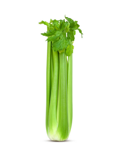 istock Green celery stalk isolated cutout 1586352906