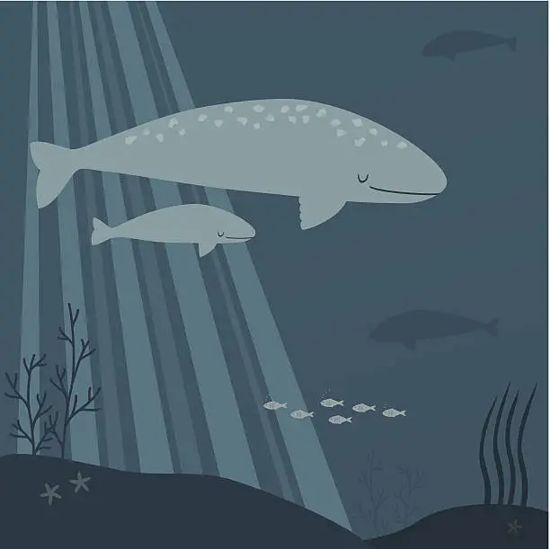 Vector illustration of Gray whale and calf swimming