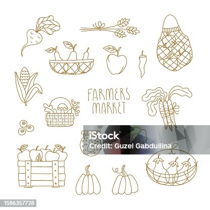 istock Vector Line set with autumn farmers market elements for card, invitation, web site, stickers, banner. Cute fall minimal illustrations. 1586357728