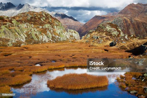 Herbst Auf Die Berge Stockfoto und mehr Bilder von Moor - Grasland - Moor - Grasland, Schweiz, Alpen
