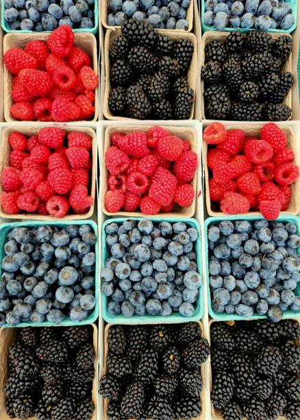 istock Fresh Blueberries Blackberries and Red Raspberries 1586428693