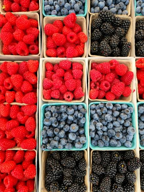istock Mix of Fresh Local Berries 1586428934