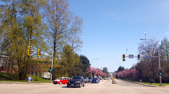 Busy main street crossing in New Westminster British Columbia.  8th Avenue and McBride. Looking South.  Pink color Cherry trees in bloom in distance.