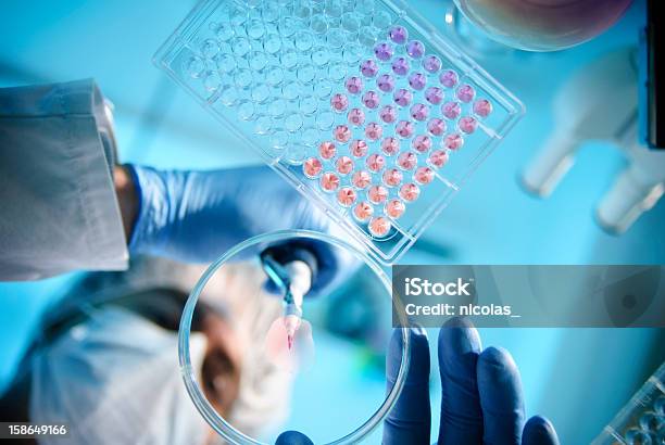 Lab Experiment Stock Photo - Download Image Now - Laboratory, Medicine, Research