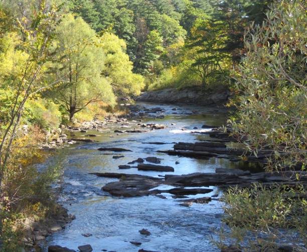 istock Royal River in Central Maine 1586527414