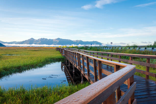 istock A wooden boardwalk in Potter Marsh Bird Sanctuary, Alaska. 1586544064