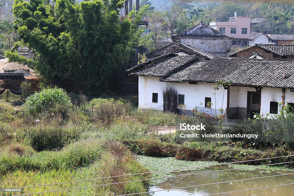 Chińskiej Hakka wsi domy, Longnan - Zbiór zdjęć royalty-free (Architektura)