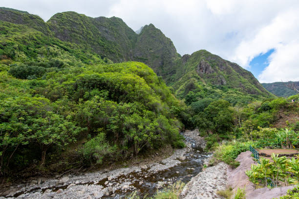 istock Iao Valley State Park, Maui, Hawaii 1586567384