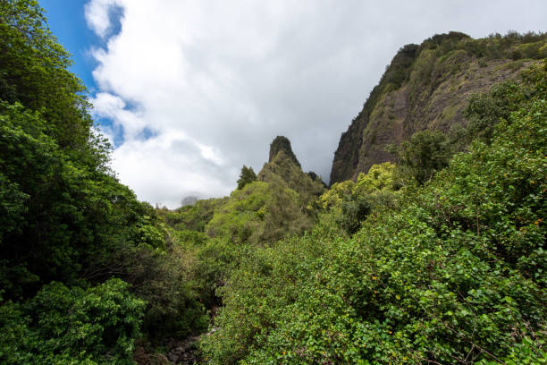istock Iao Valley State Park, Maui, Hawaii 1586567897