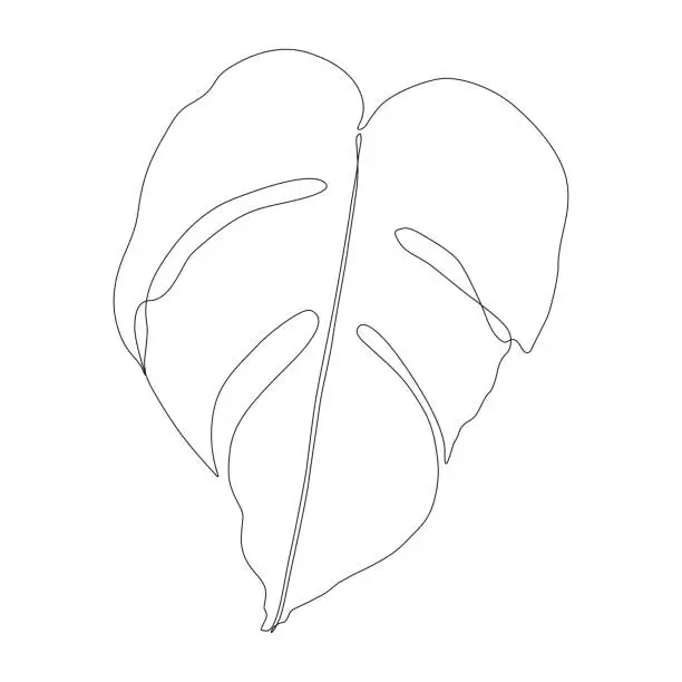 Vector illustration of Monstera Leaf Continuous Line Drawing Editable Stroke