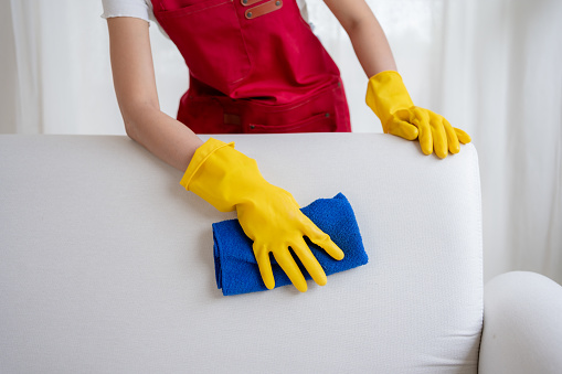 Woman cleaning sofa in living room at home. Housewives do housework. home care concept.