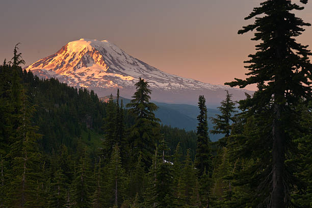 istock Mount Adams at sunrise as seen from Goat Rocks Wilderness 158659023