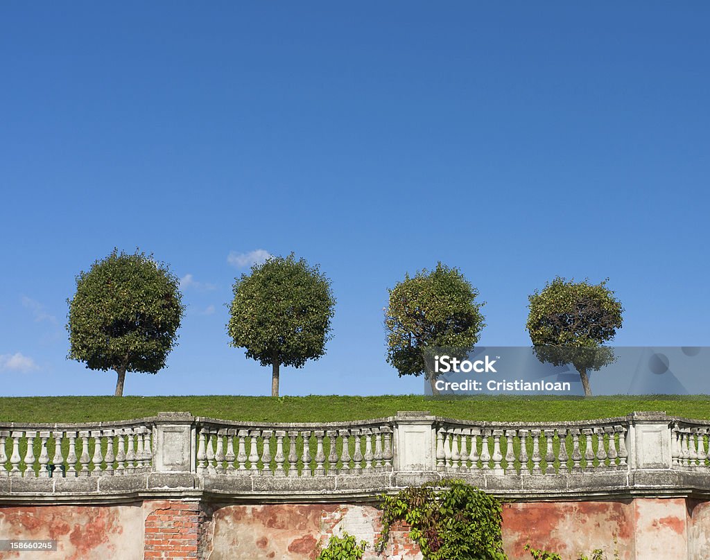 Drzewa w rzędzie - Zbiór zdjęć royalty-free (Bez ludzi)