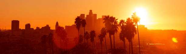 istock Los Angeles Palm Sunset 158661935