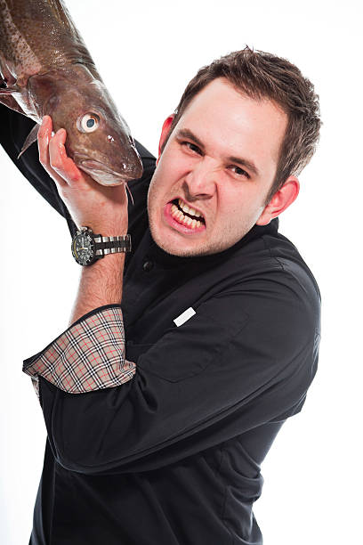 istock Young male cook with black jacket. 158662703