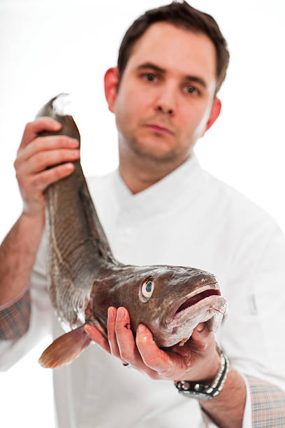 istock Young male cook with white jacket. 158662945