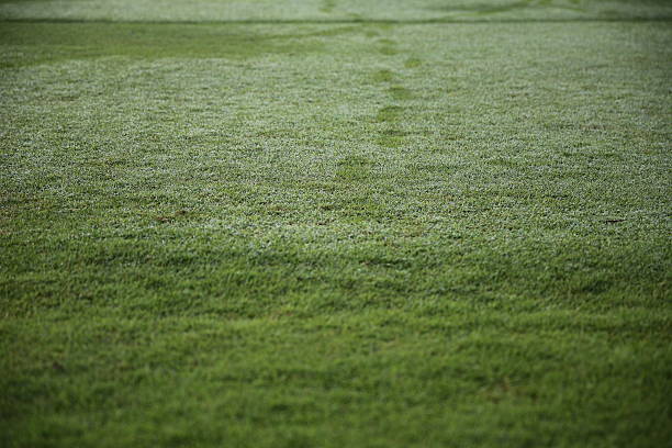 Footprints stock photo