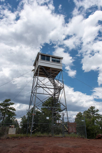 Springer Mountain Fire Lookout Tower