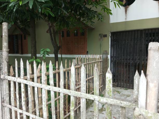istock Alone magpie sitting on fence. 1586655636