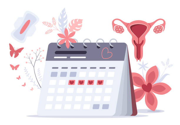 Women Health Medical Concept. Menstruation calendar.
Menstrual Control. vector art illustration