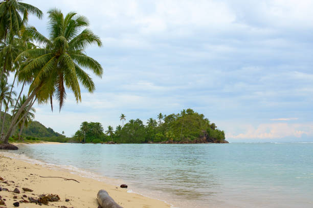 istock untouched beach  with coco palms on sandy beach and blue sea. 1586657576