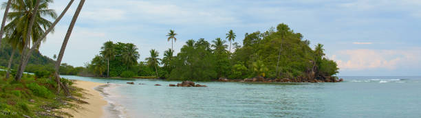 istock untouched beach  with coco palms on sandy beach and blue sea. 1586657604