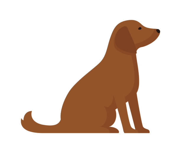 netter cartoon-hund mit braunem fell, der sitzt und nach vorne schaut. kurzhaar zu hause hündchen, haustier - animal sitting brown dog stock-grafiken, -clipart, -cartoons und -symbole