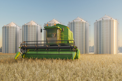 Combine Harvester And Grain Storage Silos In The Field
