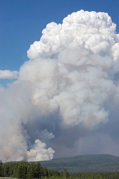 Wildfire in Yellowstone National Park