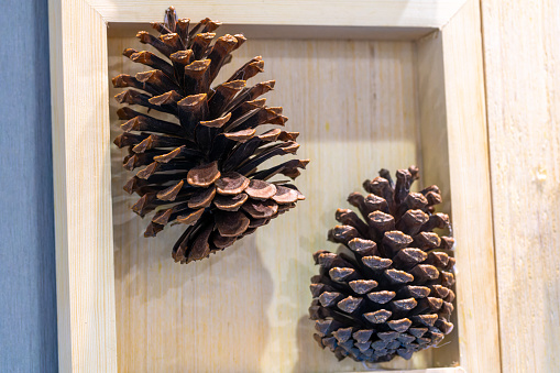 Pine cone decoration