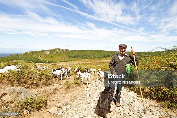 Foto de Pastor E Seu Rebanho No Campo De Portugal e mais fotos de stock de Ovelha - Mamífero ungulado - Ovelha - Mamífero ungulado, Pastor de ovelha, Cabra - Mamífero ungulado