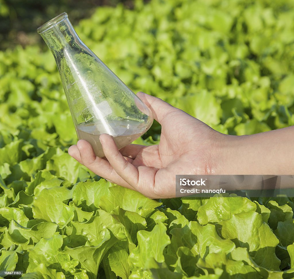 Boden Lösung Glaskolben - Lizenzfrei Agrarbetrieb Stock-Foto